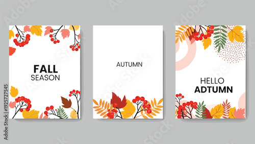 Set of three autumn themed posters with colorful fall leaves berries and text saying fall season and autumn on white and grey bases.