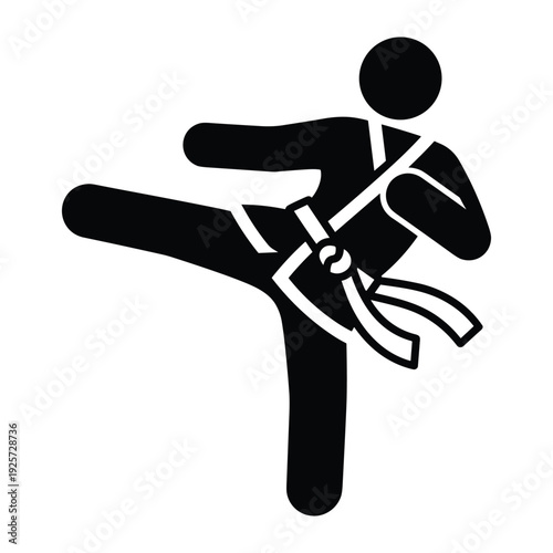 Silhouette of a karate fighter executing a powerful kick during training or competition
