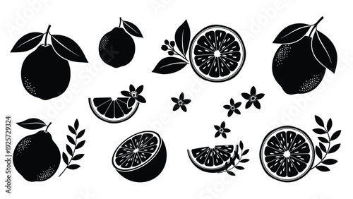Silhouettes of lemons lemon slices blossoms and leaves in black used as icons or decorative elements for citrus fruit branding designs.