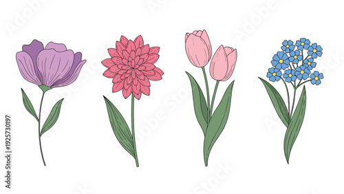 Elegant set of four individual flower illustrations including purple pink and blue blossoms with green stems on a white background.