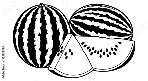 Black and white illustration of whole and sliced watermelons depicting a summery fruit