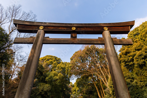 Torii Gate at Meiji Jingu Shinto Shrine in Tokyo, Japan