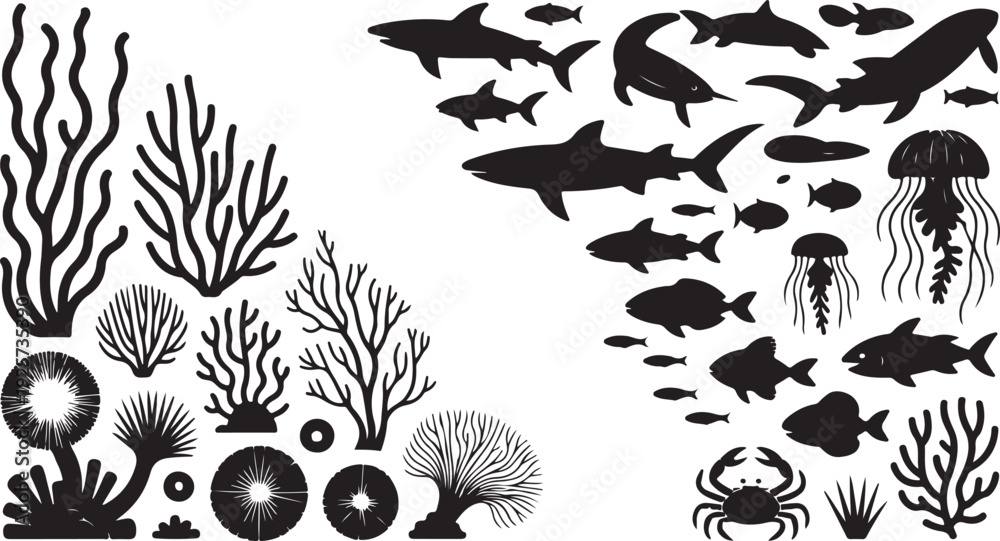 Obraz premium Black and white of various sea creatures and underwater plants