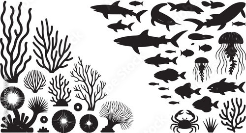 Black and white of various sea creatures and underwater plants