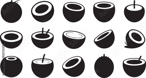 Assortment of Black Silhouette Coconuts on White Background Fruit Tropical