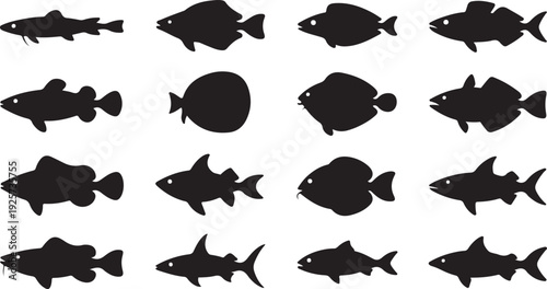 Assortment of Black Silhouette Fish on White Background silhouettes