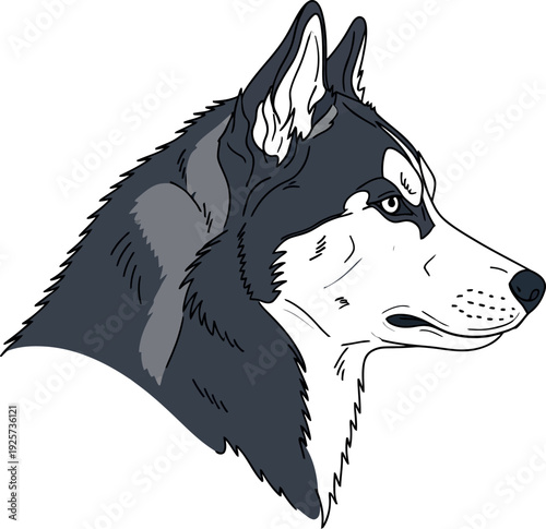 Striking illustration depicting the dignified side profile portrait of a majestic siberian husky dog head against a stark white background perfect for branding or graphic design projects.