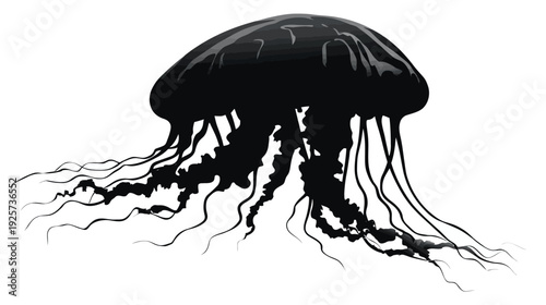 A stark black jellyfish floats against a clean white background, showcasing its intricate tentacles
