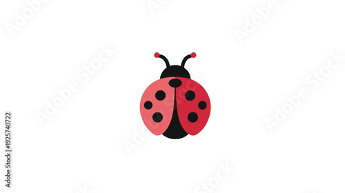 Illustration of a red and black ladybug with a white background. It's a stylized, minimalist design