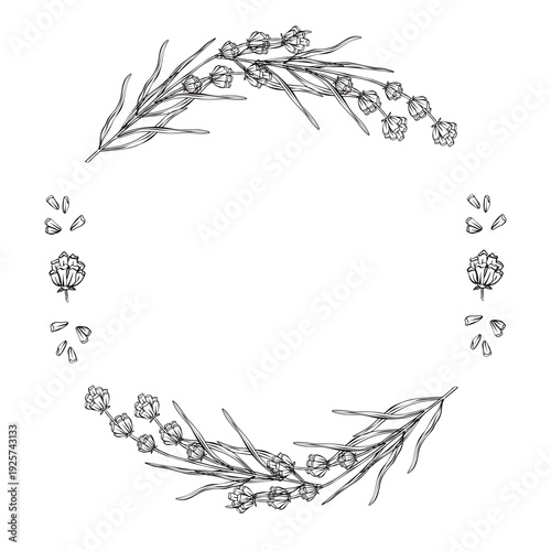 Lavender vector floral frame line art. hand drawn botanical border with lavender branches and flowers, minimal outline design for wedding invitation and cosmetic packaging