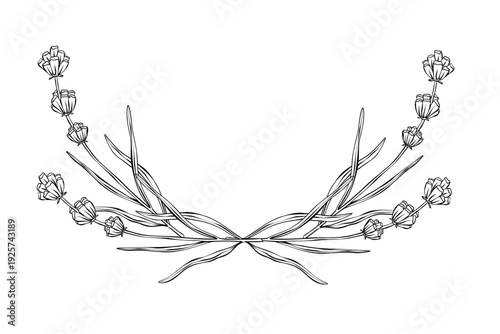 Symmetrical lavender vector floral border in clean line art style with hand drawn botanical branches and flowers. Ideal for wedding invitations, cosmetic packaging, spa branding and elegant stationery