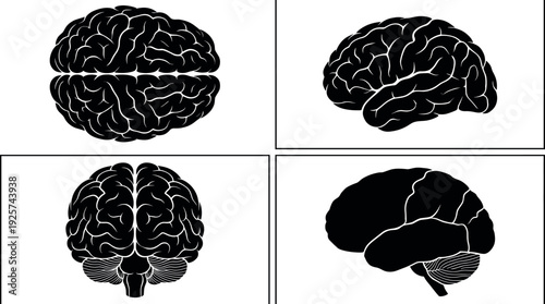 Featuring Top Side and Front Views for Medical Science Psychology Neurology Education and Creative Thinking ConceptsHuman Brain Silhouette Vector Illustrations Set Featuring 