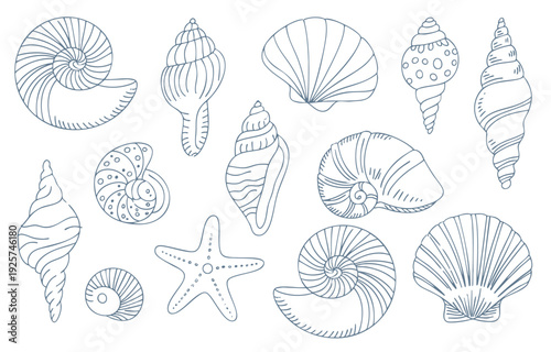 Coastal seashell and starfish outline set with minimal sketch detail. Hand drawn seashell collection in clean line art style.