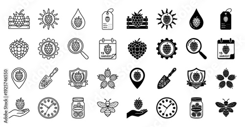Collection of raspberry fruit icons featuring hybrid concepts with garden tools honey bee harvest calendar and organic farming certification symbols