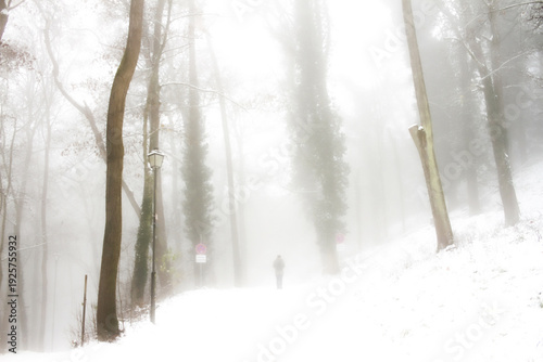Lost in the snow