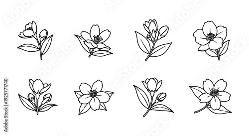 Floral arrangement of dogwood blossoms in a minimalist black silhouette
