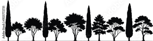 Collection of various black tree silhouettes including pine and cypress standing in a row against a plain white background.