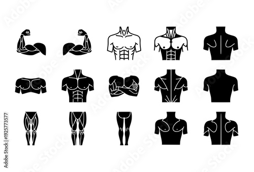 Human Muscle Anatomy Line Icon Set with Black Solid Silhouette Fitness Symbols