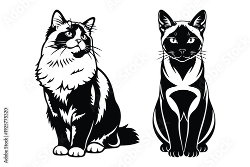 Sitting Cat Silhouettes - Siamese and Fluffy Breeds