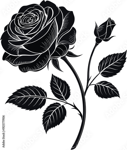 Black Rose Flower Silhouette Romantic Botanical Vector