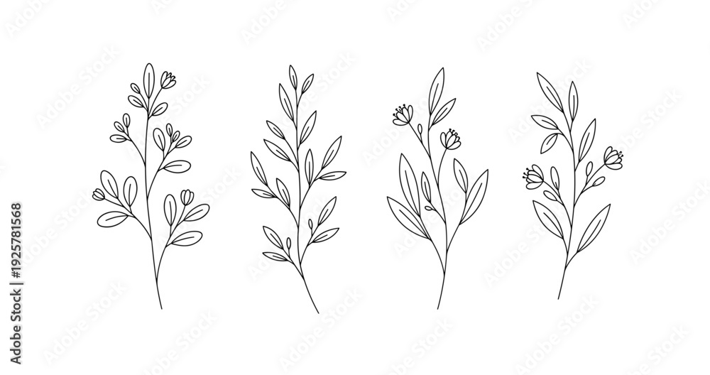Fototapeta premium Minimalist line art: botanical floral sketches of leafy stems and buds
