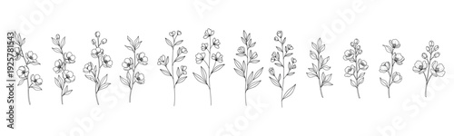 Elegant black and white floral border with delicate blossoms and leaves