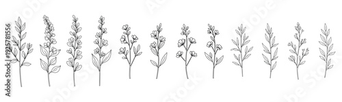 Minimalist hand-drawn plant stems with leaves and flowers