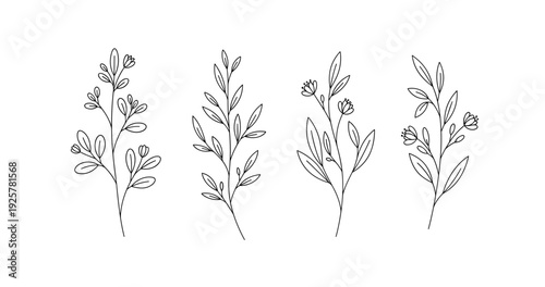 Minimalist line art: botanical floral sketches of leafy stems and buds