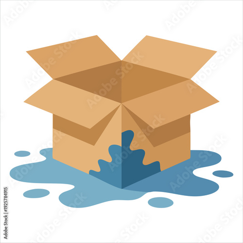 Damaged Delivery Package Concept with a Wet and Torn Box