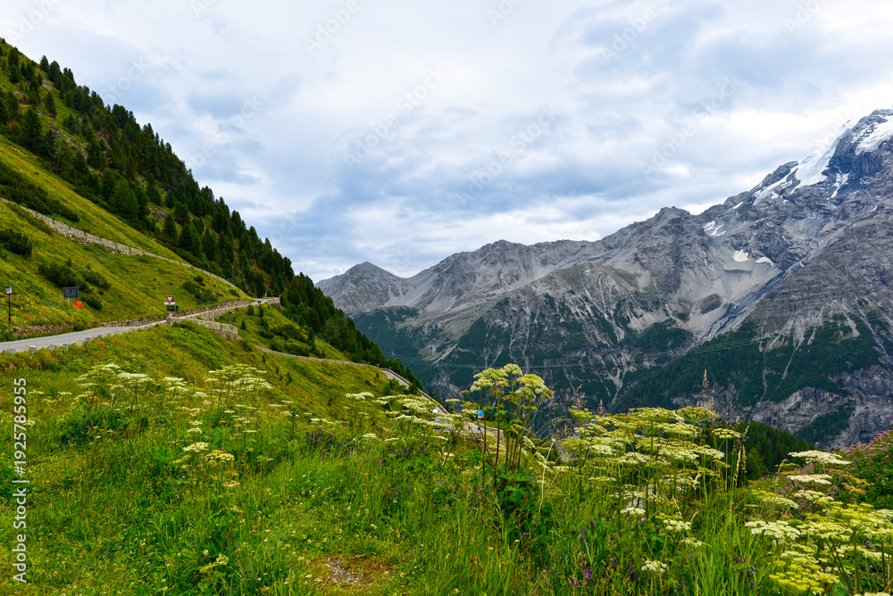 Fototapeta premium Die Stilfser Joch Passstraße im Vinschgau in Südtirol 
