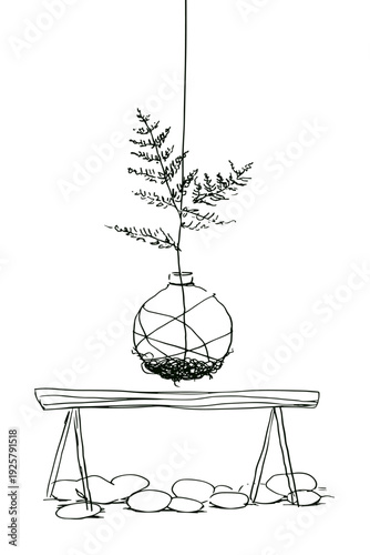 Hanging Kokedama Moss Ball With Fern