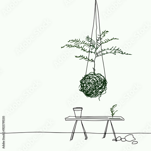 Hanging Kokedama Moss Ball With Fern