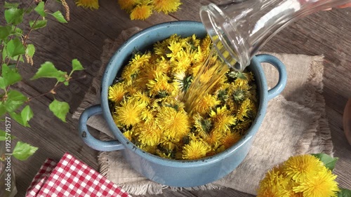 Pouring water into a pot with dandelion flowers harvested in spring to prepare dandelion honey or syrup