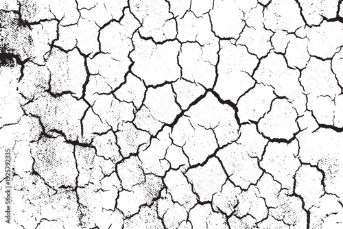High Contrast Cracked Earth Texture Black and White Grunge Background
