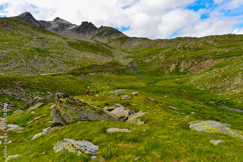 Obraz premium Die Südrampe der Gaviapassstraße (Passo del Gavia) in der italienischen Lombardei