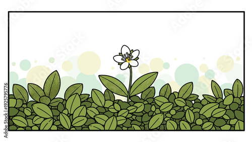 Unique white flower in green foliage with abstract bokeh background