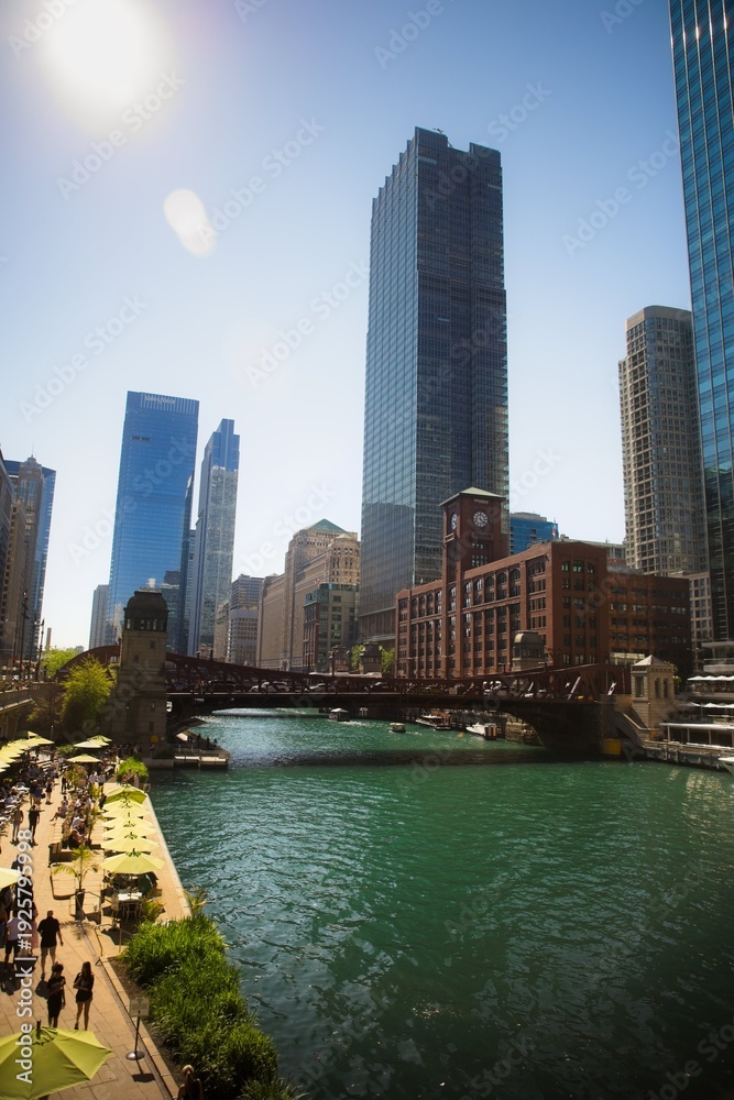 Obraz premium View of the Chicago Skyline on a Clear Blue Summer Day from the River