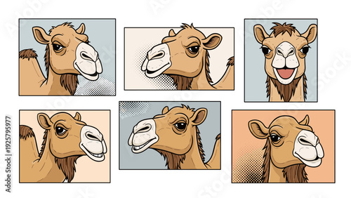 Comic style camel faces in pop art panels with expressive emotions