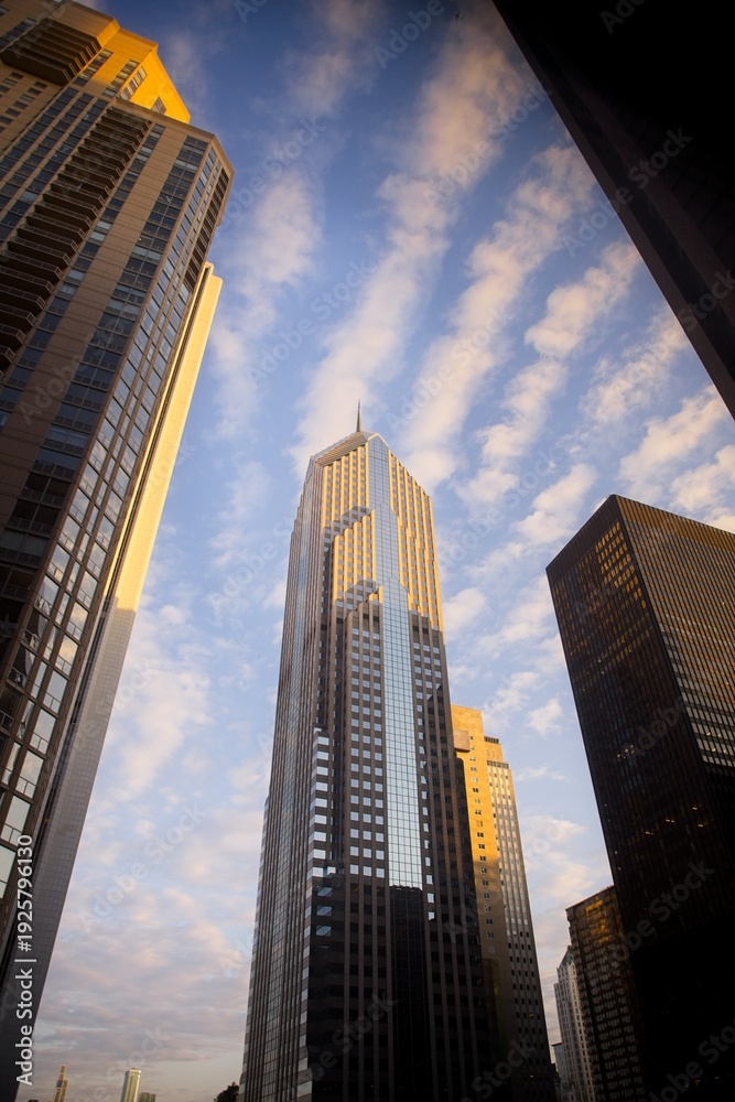 Fototapeta premium View of Chicago Building at Sunrise
