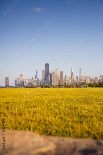 Wallpaper Mural View of a People Near the Lake in Chicago with the Chicago Skyline in the Background Torontodigital.ca
