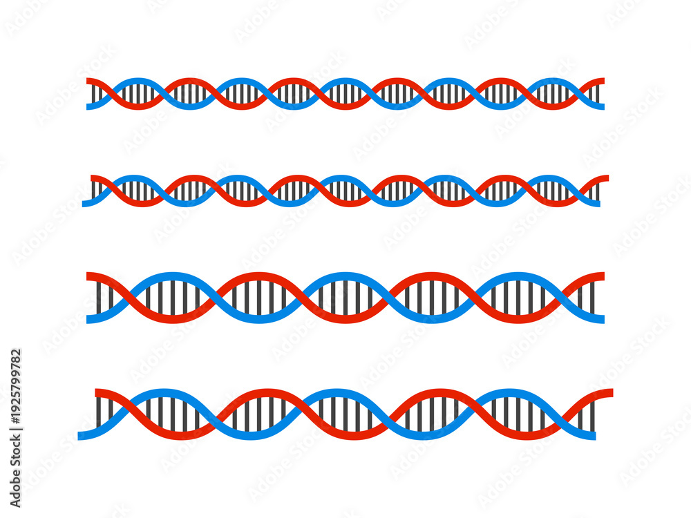 Fototapeta premium DNA・二重螺旋構造ラインセット