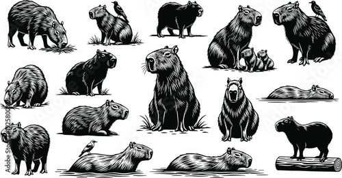 Collection of black and white capybara illustrations in various poses, South American rodent vector set featuring swimming, sitting, and standing capybaras with birds