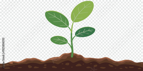 Young Plant Growing in Rich Soil Isolated on Transparent Background Sustainable Growth Concept