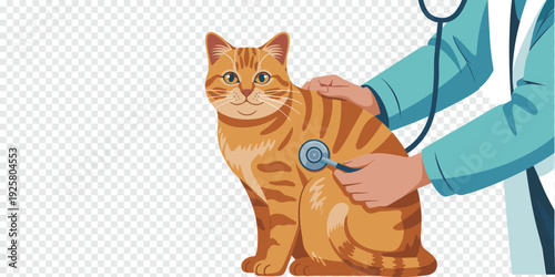 Veterinarian Examining Orange Cat Isolated on Transparent Background Pet Healthcare Concept