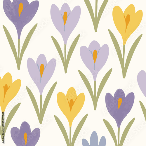 Crocus Bloom Blossom Beautiful Botanical Floral Flower Design Purple Yellow Print Vector Garden Spring Graphic Vector Background