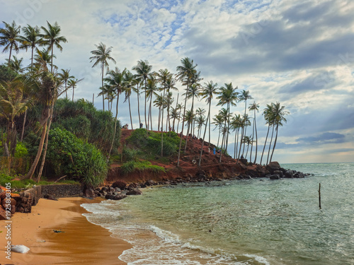 Coconut tree beach in Sri lanka at Indian Ocean