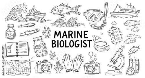 Marine biologist's essential tools and elements for oceanographic research and study