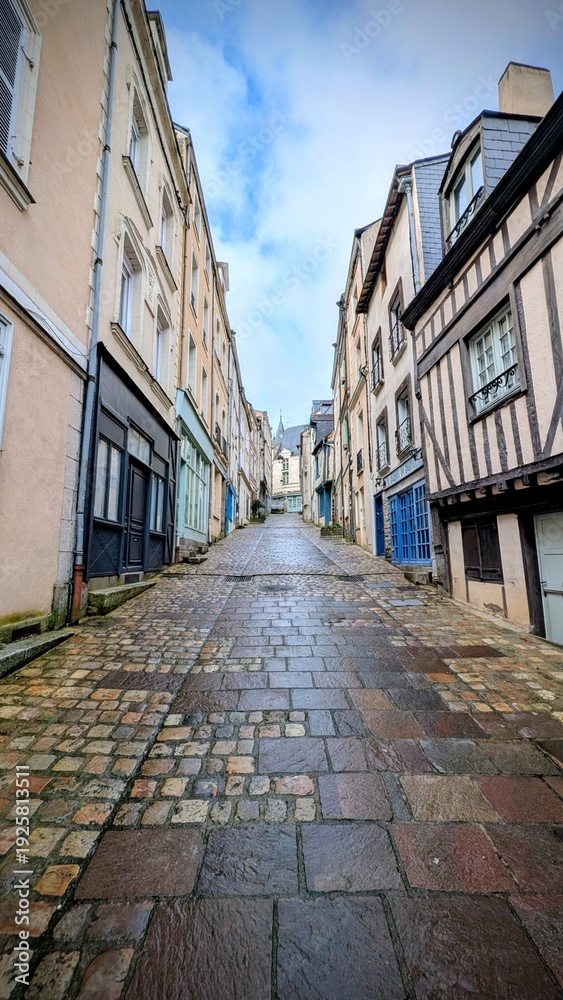 Fototapeta premium LAVAL (Mayenne)