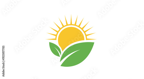 Sunrise Above Fields: Nature's Embrace with Lush Greenery and Radiant Sunshine