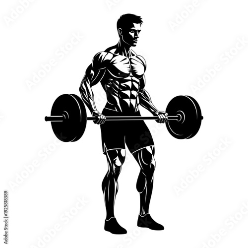 Man lifting weights in gym isolated on transparent background.